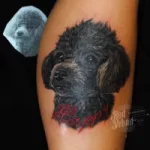 Dog black portrait Dog black portrait