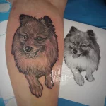 Dog portrait Dog portrait