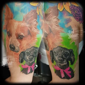 Dogs portrait colors Dogs portrait colors