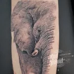 Elephant half Elephant half